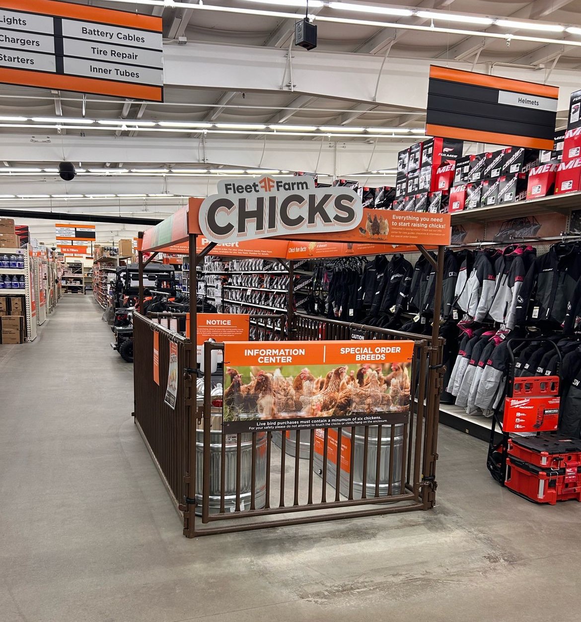 Indoor Sheep Hog Goat Panels Display 1